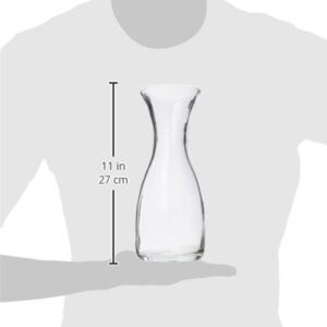 Wine Carafe size